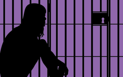 Protected: The Ultimate Guide to Bail